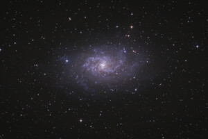 M33