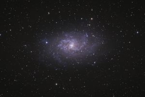M33