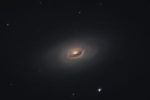 M64