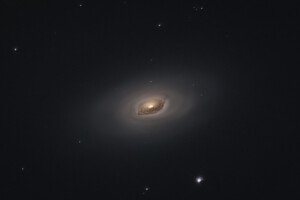 M64