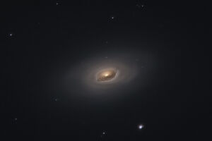 M64