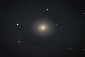 M94