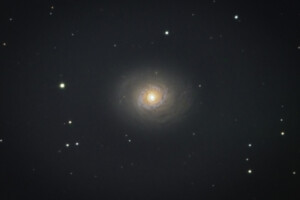 M94